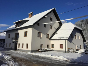 Гостиница Youth Hostel Nika, Краньска Гора